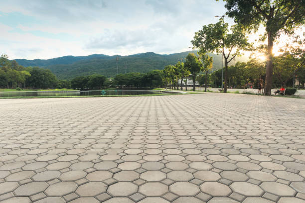 Best Professional Driveway Pavers  in Flatwoods, KY